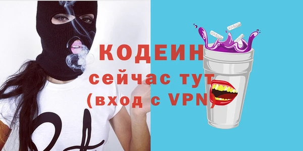 гашик Козельск