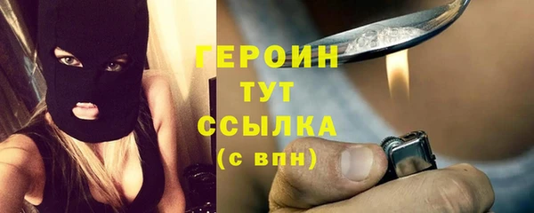 гашик Козельск