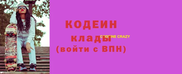 дмт Кодинск