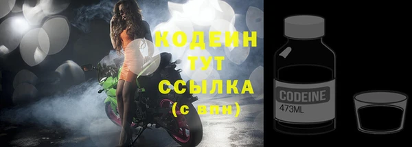 СК Кинешма