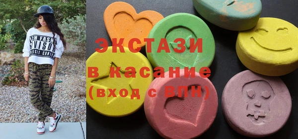 гашик Козельск