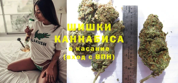 сатива Касимов