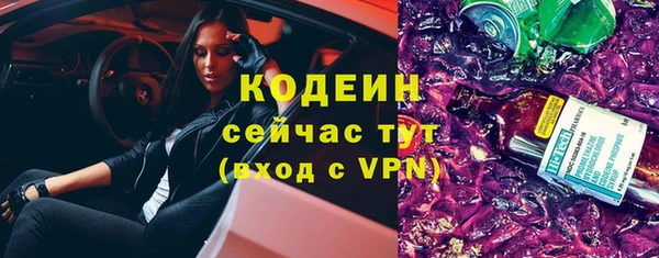 трава Коряжма