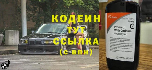 гашик Козельск