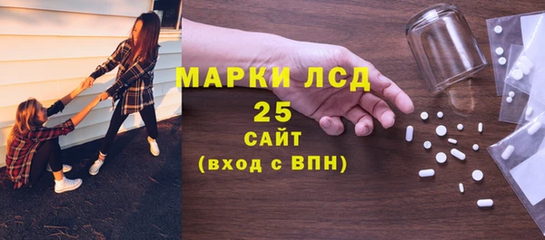 трава Коряжма