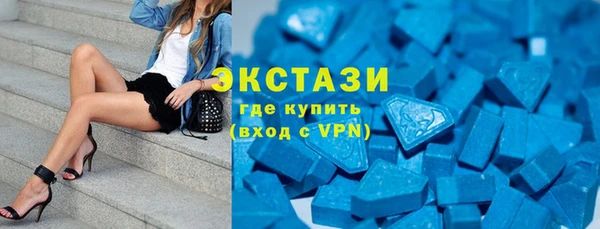 гашик Козельск