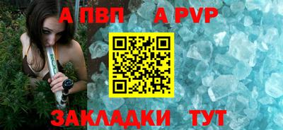 спиды Кингисепп