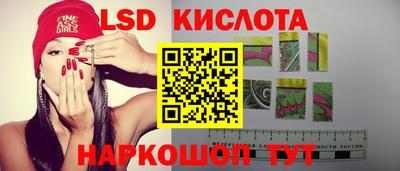 спиды Кингисепп