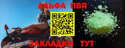 спиды Кингисепп