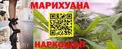 спиды Кингисепп