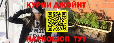 спиды Кингисепп