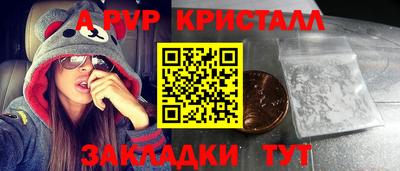спиды Кингисепп