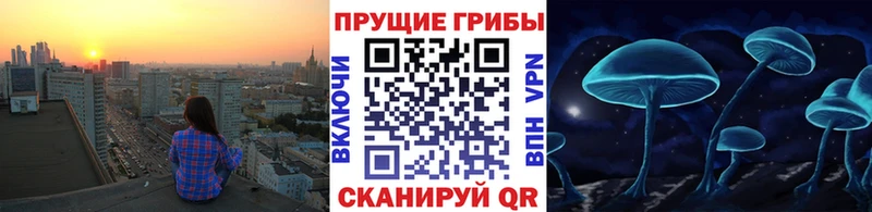 Псилоцибиновые грибы прущие грибы  Котовск 