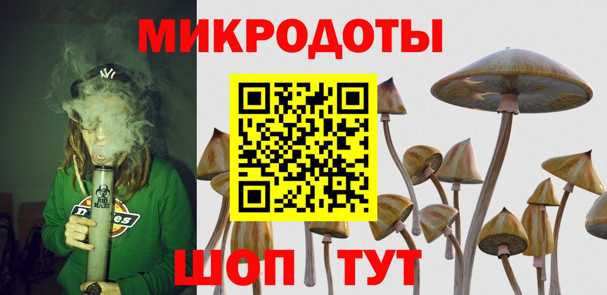 Псилоцибиновые грибы MAGIC MUSHROOMS Котовск