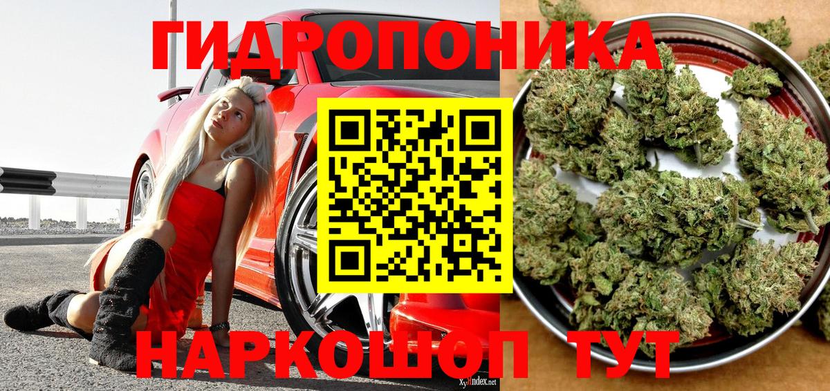 Альфа ПВП Котовск